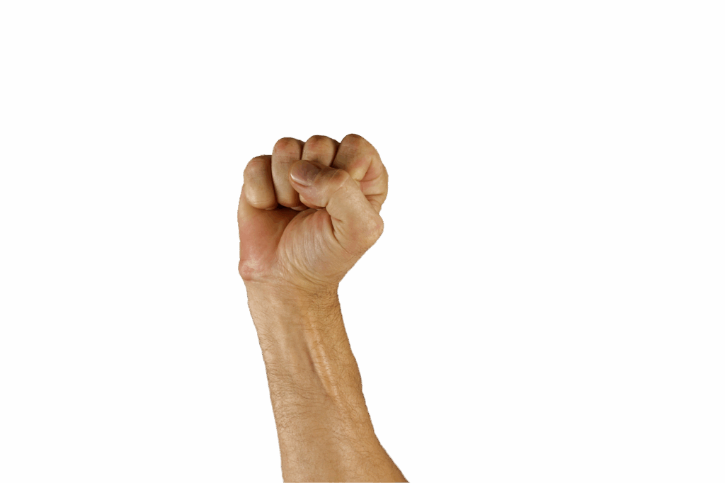 fist, hand, sign language, victory, human, fist, fist, fist, fist, fist, sign language